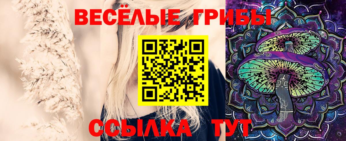 Кудрово  Псилоцибиновые грибы мицелий  Вход с VPN  Псилоцибиновые грибы Magic Shrooms 